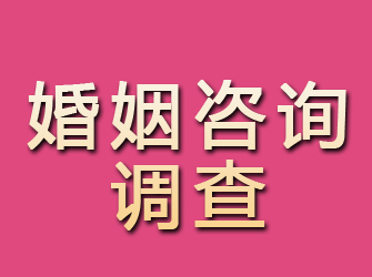 眉县婚姻咨询调查